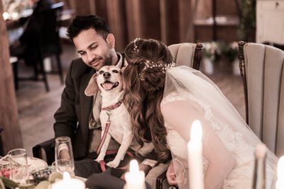 Bride Kisses Her Dog at Her Wedding Reception Table