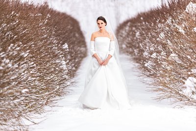 Bride posing near hedge garden at winter wedding at the Minnesota Landscape Arboretum