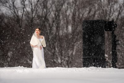 Winter wedding at the Minnesota Landscape Arboretum Sculpture Garden