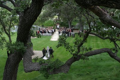 Perspective And Vision Are What Set Wedding Photographers Apart