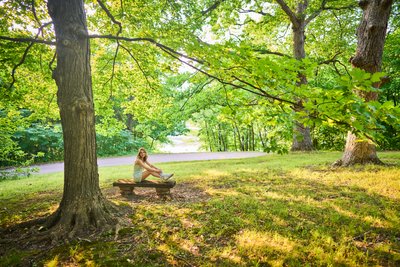 Wayzata Senior Portrait  On A Bench In A Forest Of Green Trees
