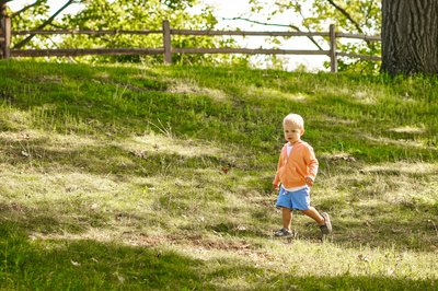 Individual boy in autumn field