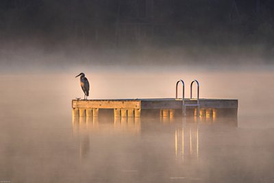 Sunrise Mist