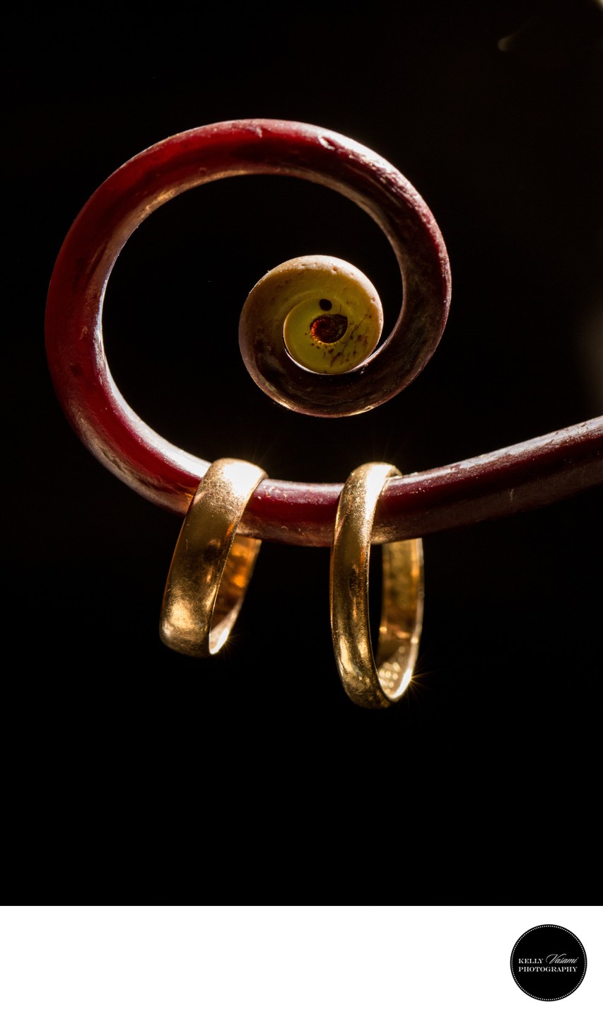 Fiddle head fern | Creative wedding ring photography