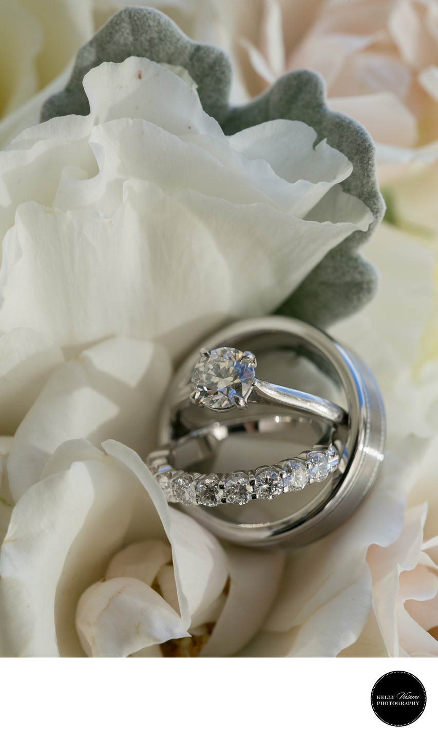 Wedding rings, rose petals, dusty miller