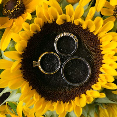Sunflowers | Wedding Ring photos