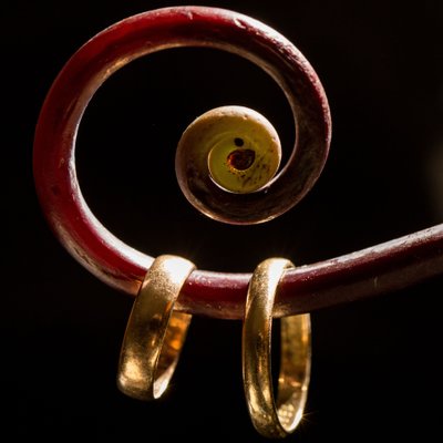 Fiddle head fern | Creative wedding ring photography