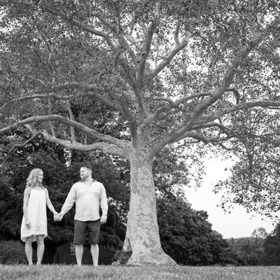 Couple poses under huge tree | Tarrytown Engagement 