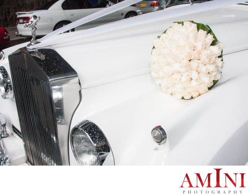 Family Portrait Photographer Castle Hill