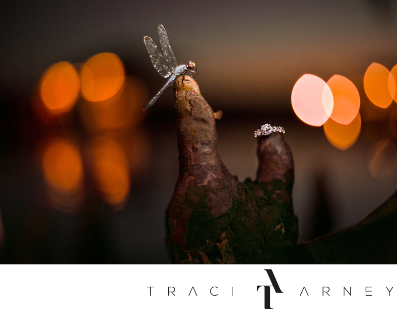 New Bern Lakeside Wedding Photographer Ring Shot