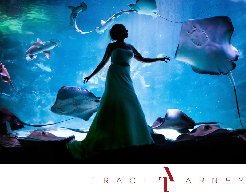 Ripley's Aquarium Bridal Photographer Myrtle Beach SC