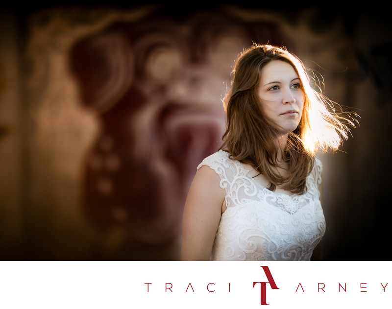 Top Charlotte Bridal Session Best Wedding Photographer