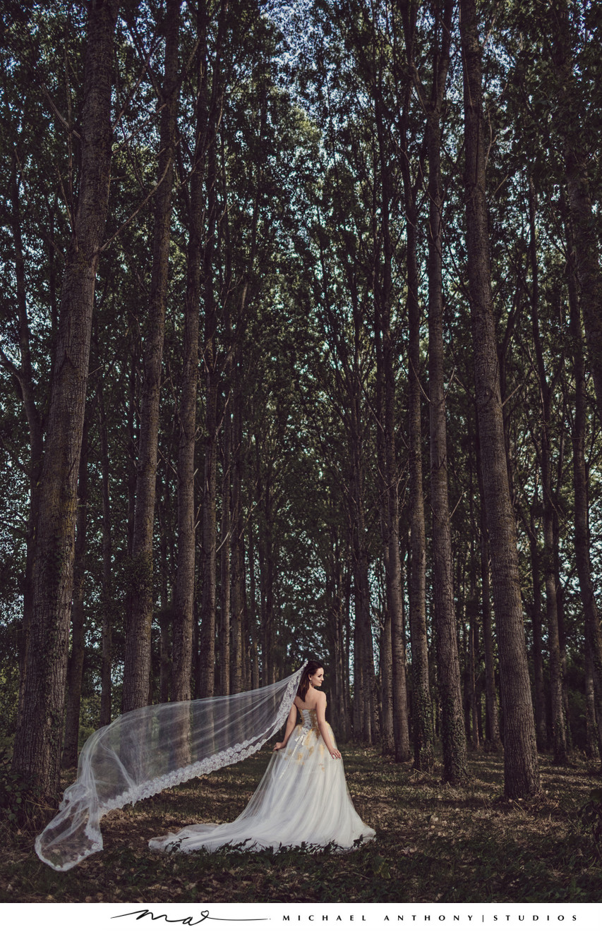 Bride standing in forest with veil blowing in wind