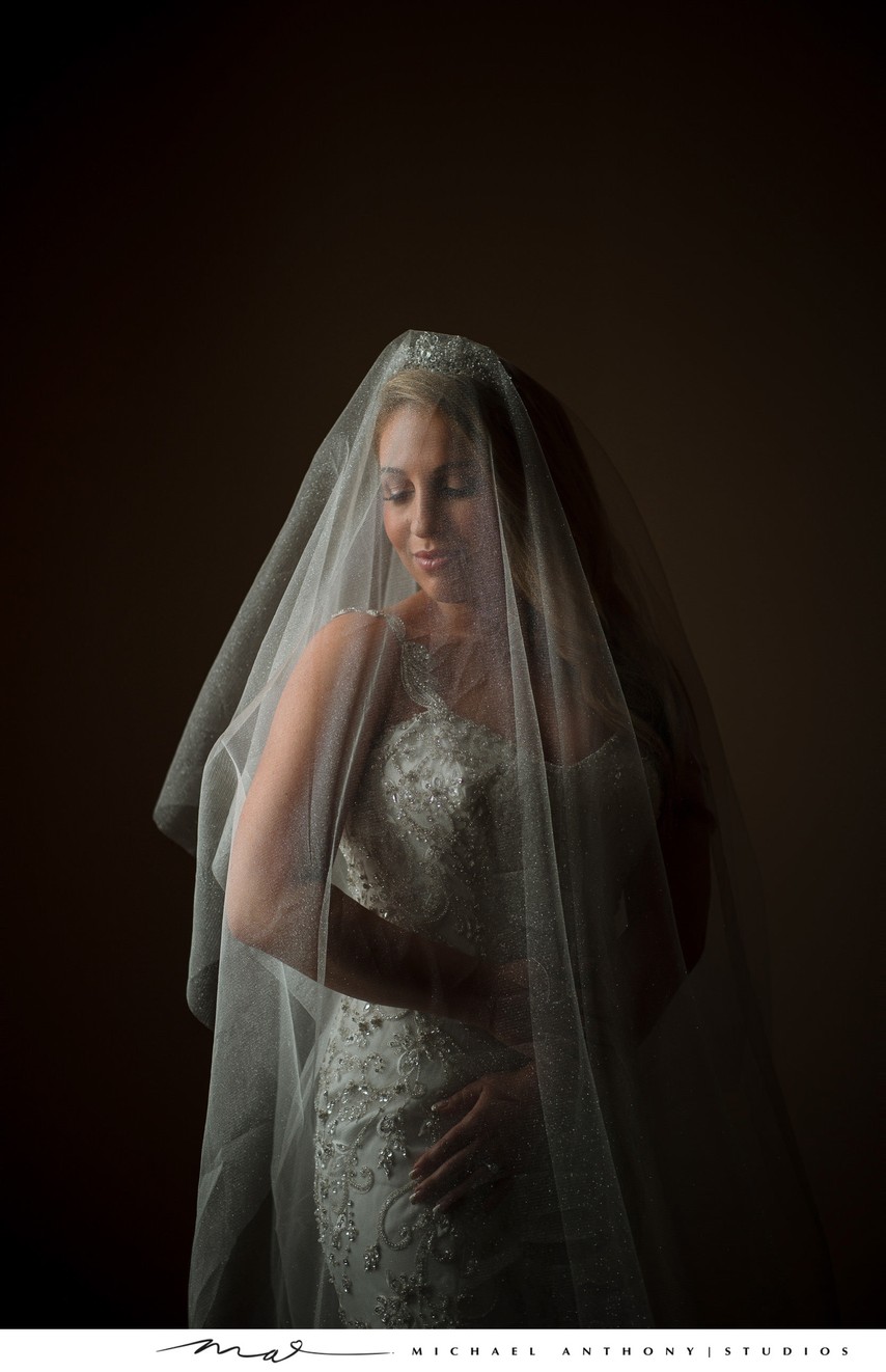 Bridal Portrait: Bride Under Veil