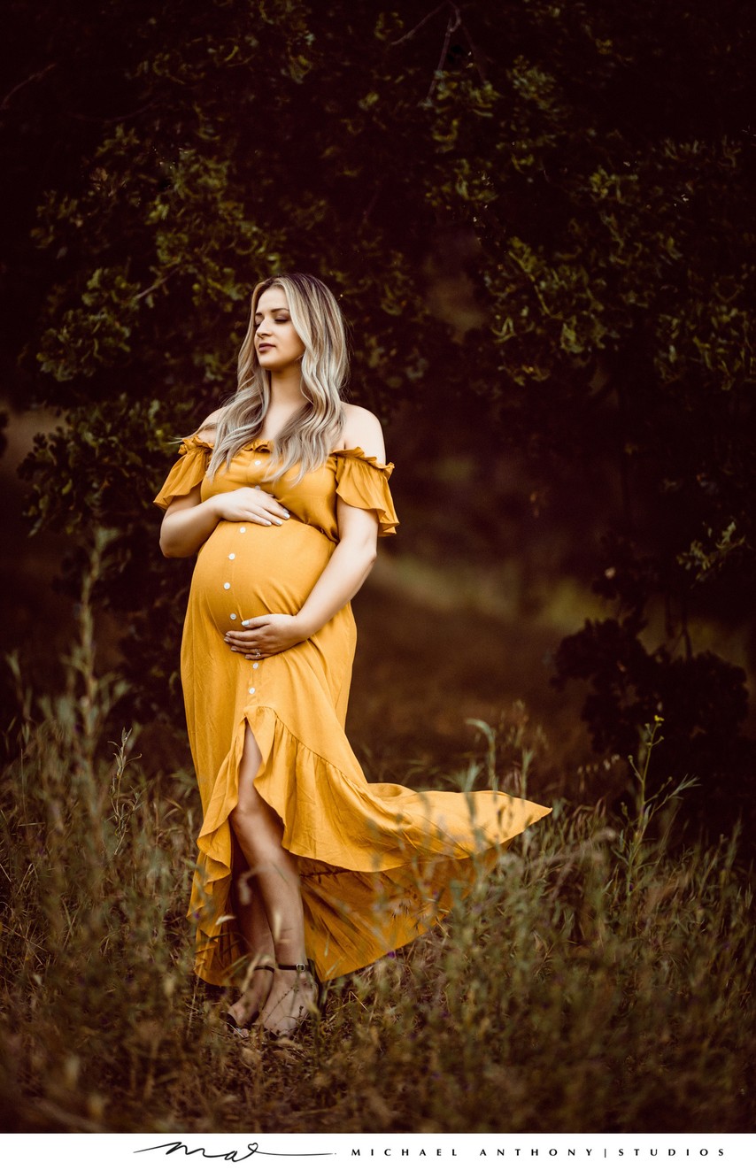 Elegant Outdoor Maternity Portrait with Yellow Dress