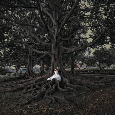 Wedding Photo of Bride and Groom in Front of Large Tree