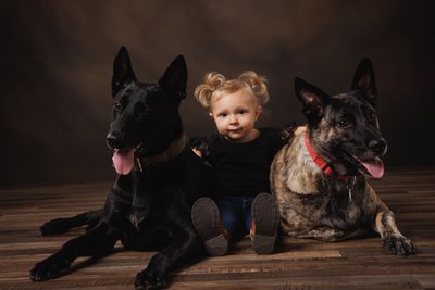 Child with Two German Shepherd Dogs Portrait
