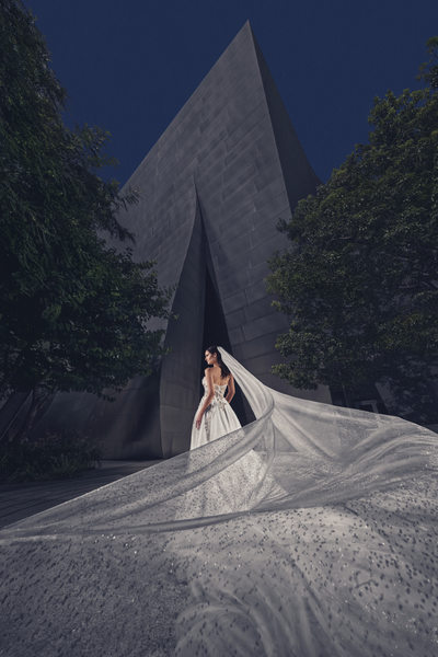 Bride standing in front of building in city