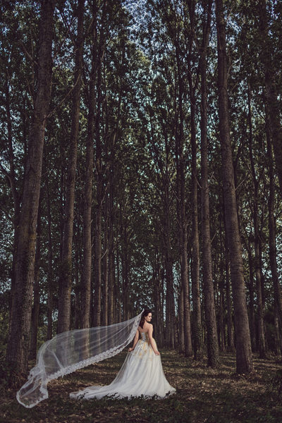Bride standing in forest with veil blowing in wind
