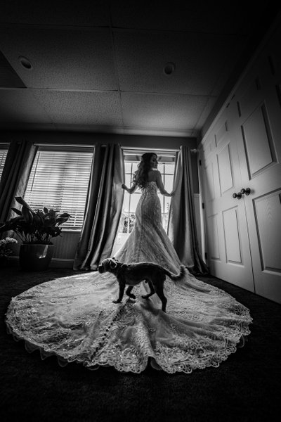 Getting Ready: Dog Walks Across Bride's Gown