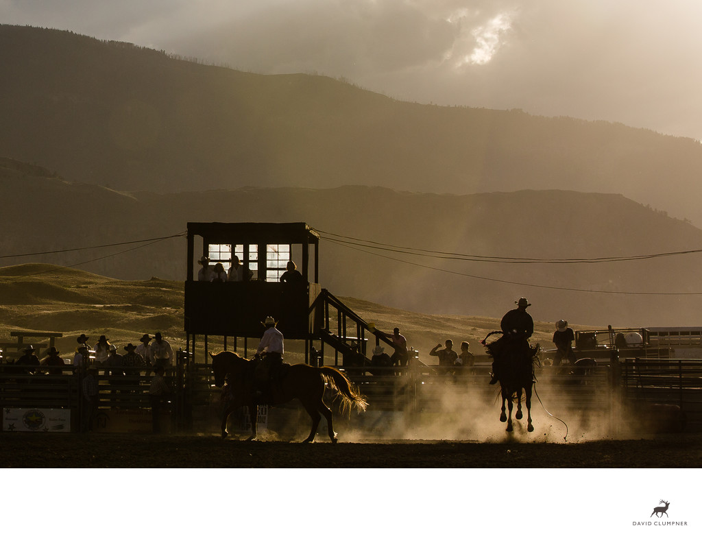 Saddle Bronc Rider in Sunset Light in a Montana Rodeo