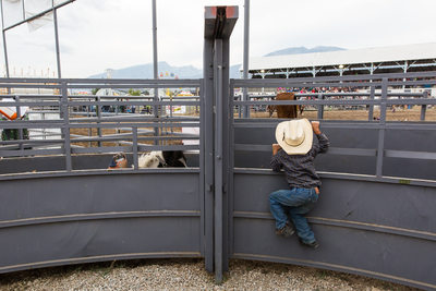 Young Cowboy Climbs Chutes at Montana Rodeo