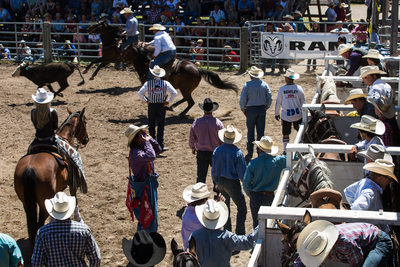Steer Wrestling at the Augusta, Montana Rodeo