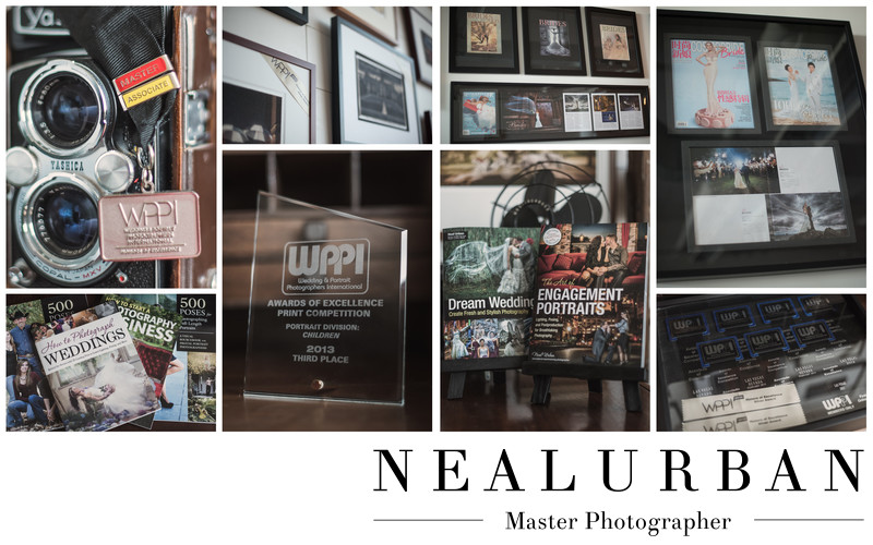 buffalo wedding photographer neal urban awards books