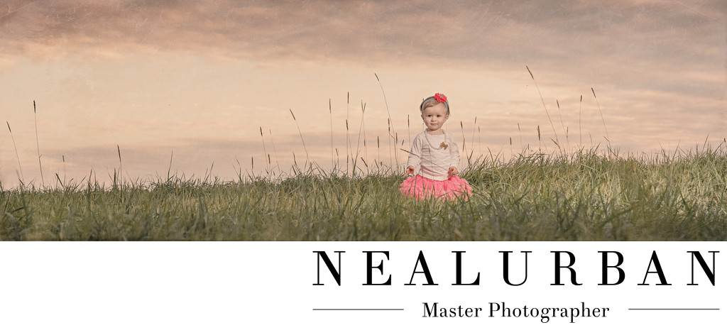buffalo family photographers lifestyle tall grass knox farm