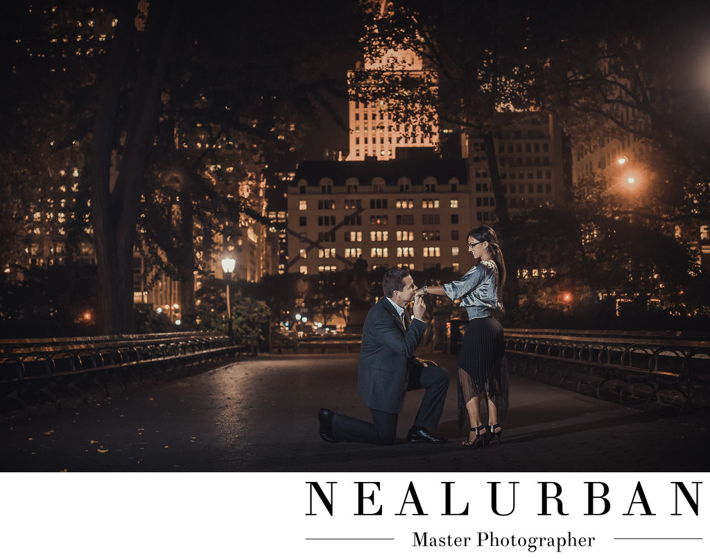 NYC wedding engagement photographers central park