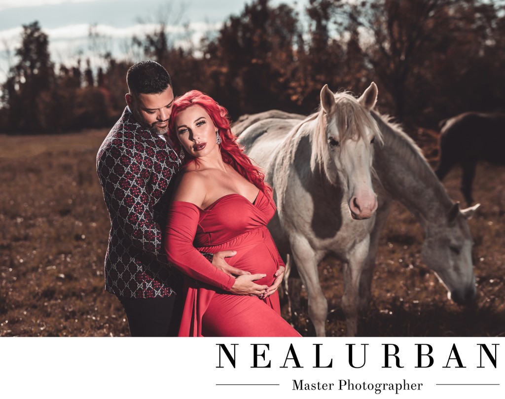 Magical Maternity with horses