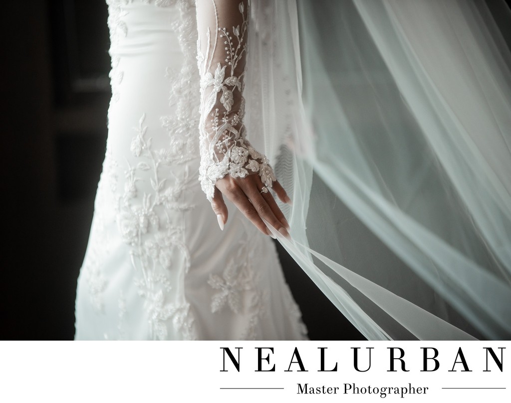 Bridal Dress Details

