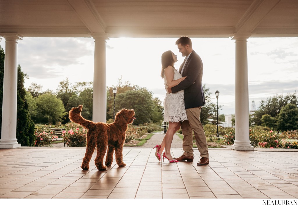 Engagement Session Rose Garden Delaware Park Buffalo