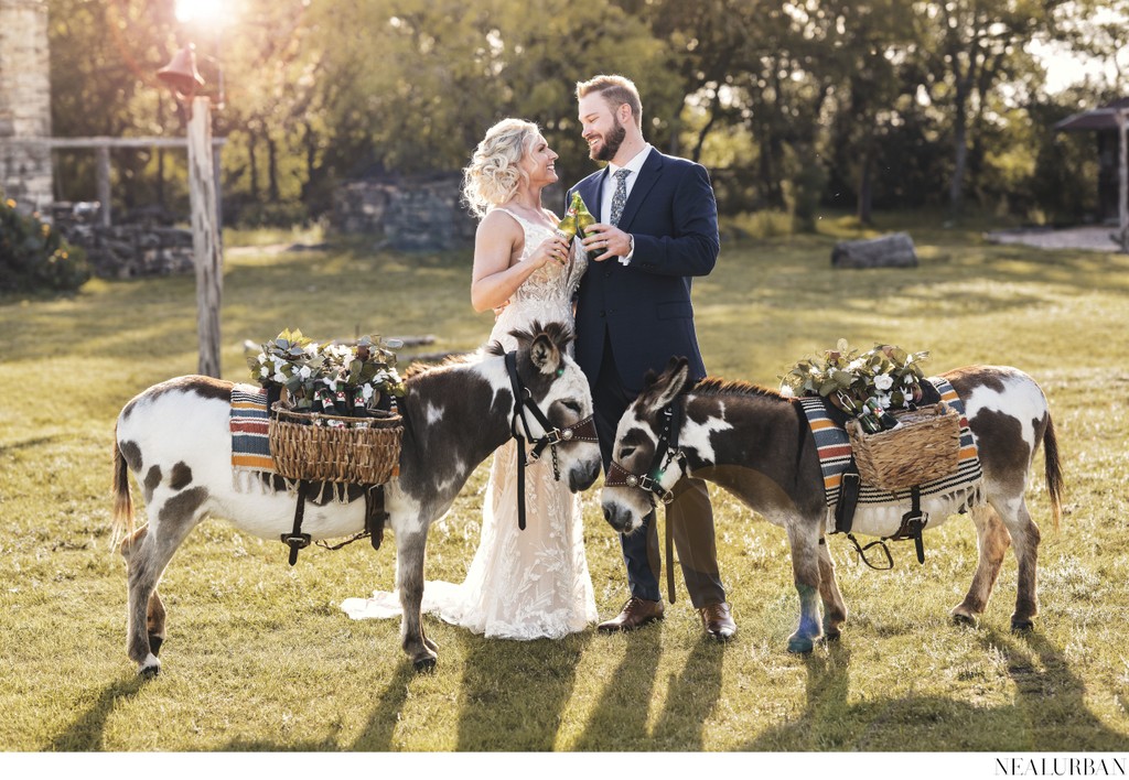 Bride and Groom with Donkeys in San Antonio TX