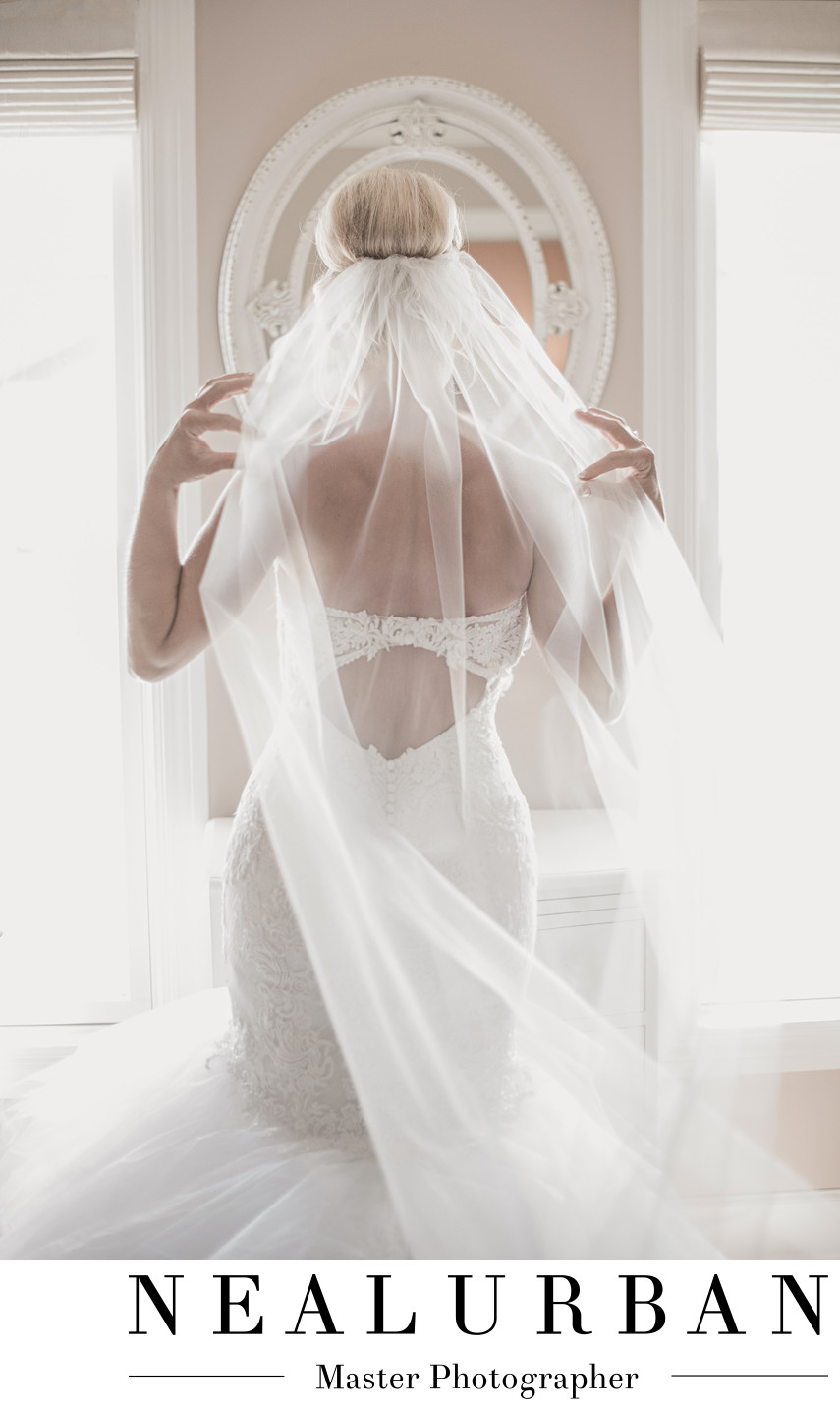 buffalo ny wedding photographer bridal suite light veil