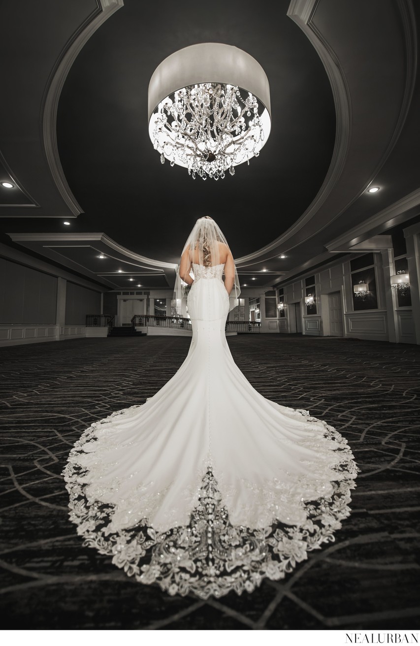 Bridal Portrait at Samuel's Grande Manor Buffalo NY