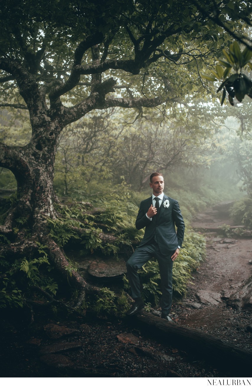 Grooms Portrait at Blue Ridge Mountains Asheville NC