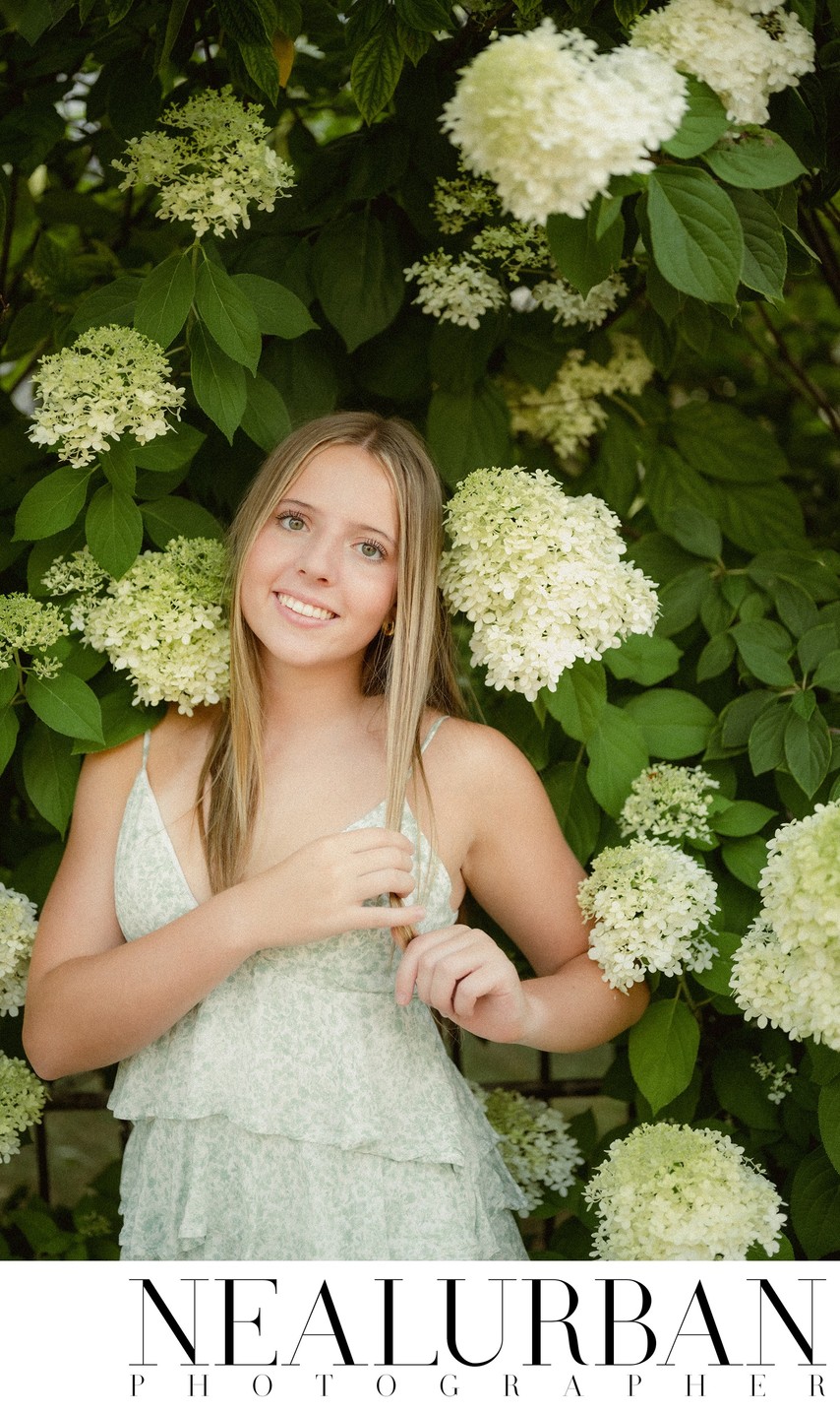 Senior photos in Hydrangeas