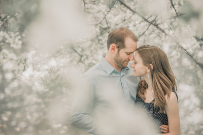 buffalo spring engagement session cherry blossom trees 