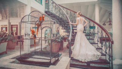 sandals antigua honeymoon wedding photography parrots
