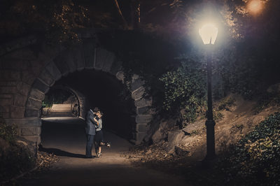 nyc engagement photography locations central park bridge