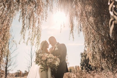 Wedding Under the Willows