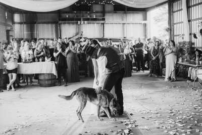 Dogs are the best wedding guests 