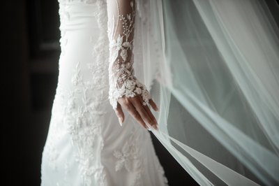 Bridal Dress Details

