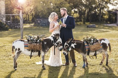 Bride and Groom with Donkeys in San Antonio TX