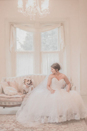 Washington dc wedding photographers bride with bulldog