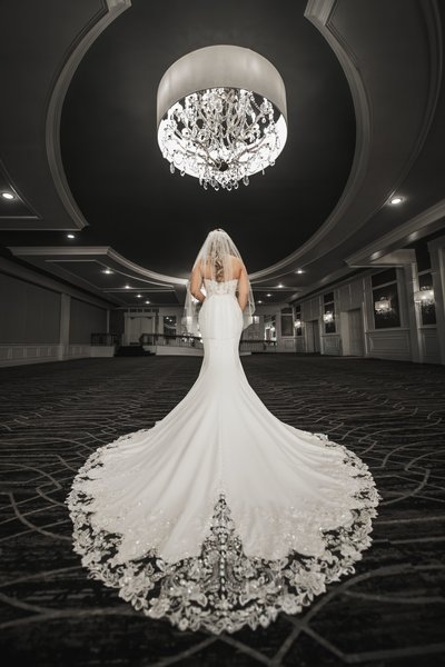 Bridal Portrait at Samuel's Grande Manor Buffalo NY