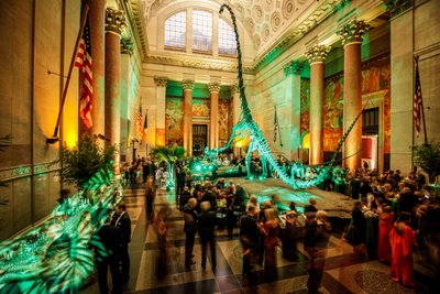 American Museum Of Natural History Cocktail Reception 3