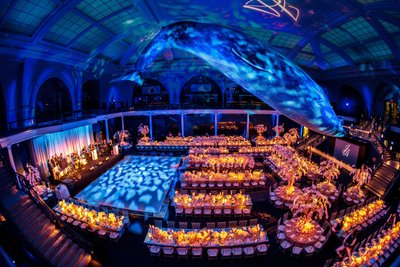 American Museum Of Natural History Wedding Reception 2