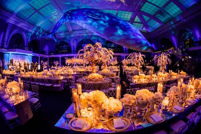 American Museum Of Natural History Wedding Reception 4